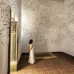 Jinny Yu