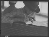 Migrant Letters